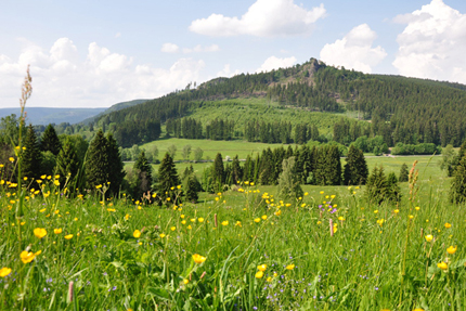 Geschiedenis van Thüringen