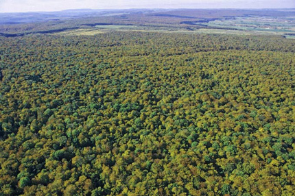 Nationalpark Hainich