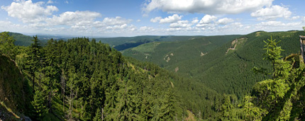 Thüringer Wald